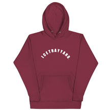 Load image into Gallery viewer, ITY ARCH Hoodie
