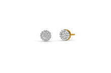 Load image into Gallery viewer, Small Flower Cluster Earrings