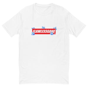 FLAWLESS Box Logo T-shirt