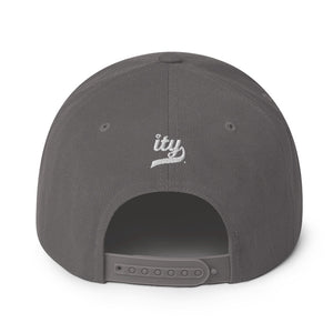 Plugwalk Snapback Hat
