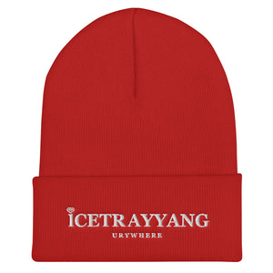 Icetrayyang Cuffed Beanie
