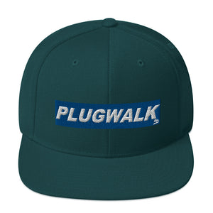 Plugwalk Snapback Hat