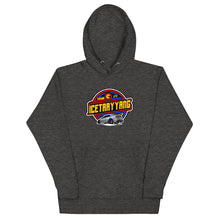 Load image into Gallery viewer, TEAM ITY Hoodie