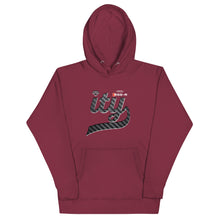 Load image into Gallery viewer, CARBON FIBER Hoodie