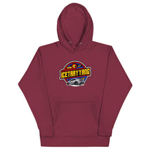 Load image into Gallery viewer, TEAM ITY Hoodie